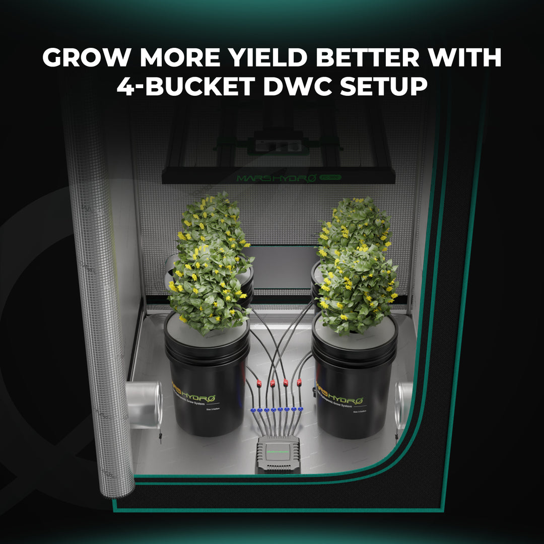4 Buckets DWC (Deep Water Culture) Hydroponic