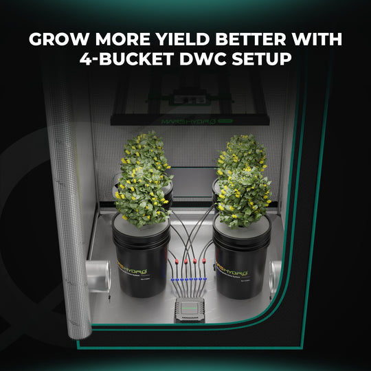4 Buckets DWC (Deep Water Culture) Hydroponic