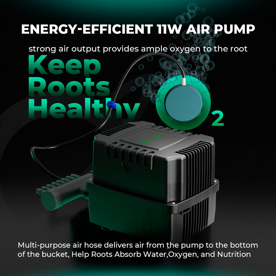 4 Buckets DWC (Deep Water Culture) Hydroponic