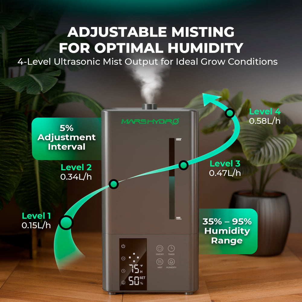 6L Indoor Cool Mist Humidifier