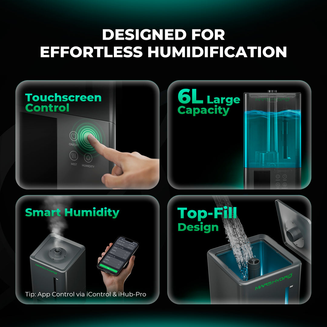 6L Indoor Cool Mist Humidifier