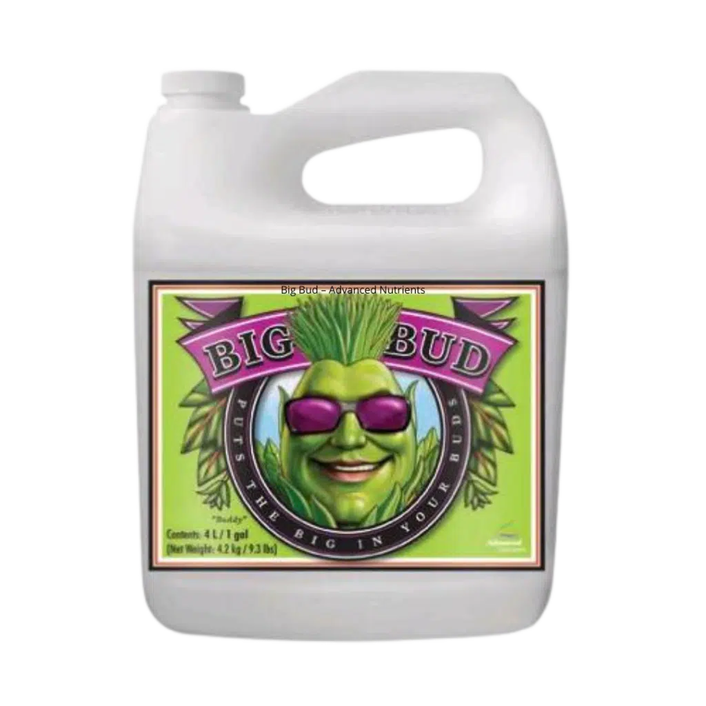 Big Bud – Advanced Nutrients