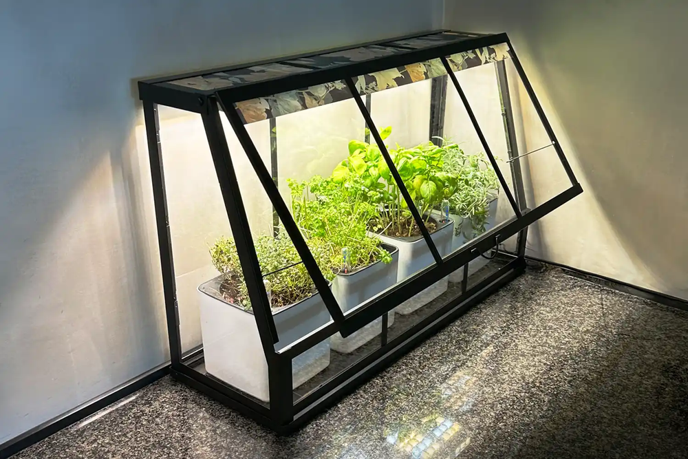 Culti LED growlight Herbs, Tropical plants + Probagation