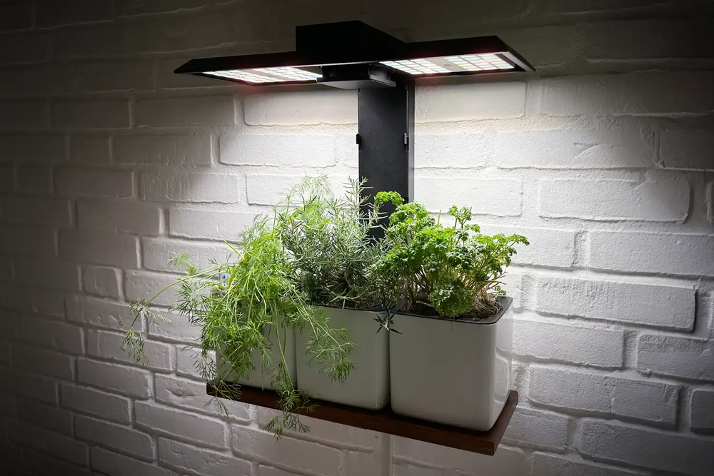 Homefarm Smart Garden