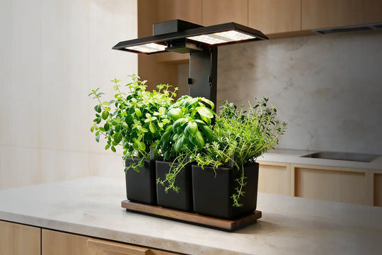 Homefarm Wide 45x15CM + 3 Self Watering Pots