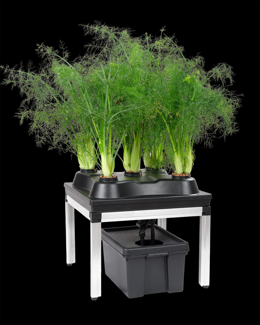 SWC System Growbox