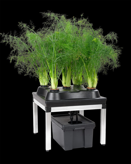 SWC System Growbox