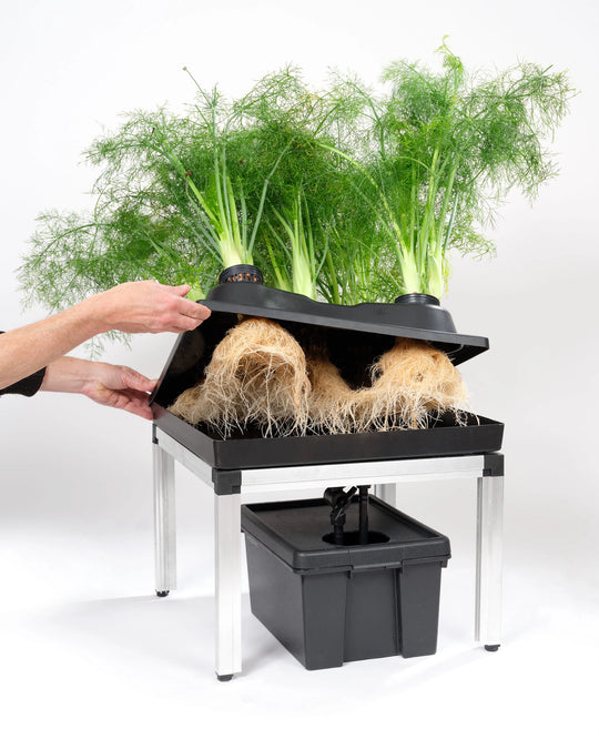 SWC System Growbox