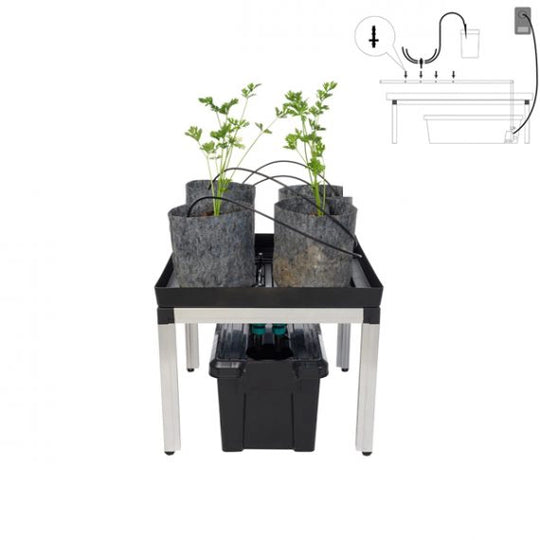 SWC System Growbox