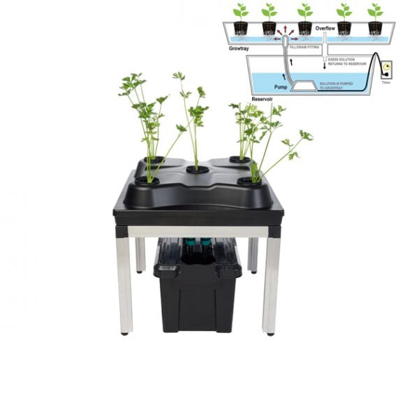 SWC System Growbox