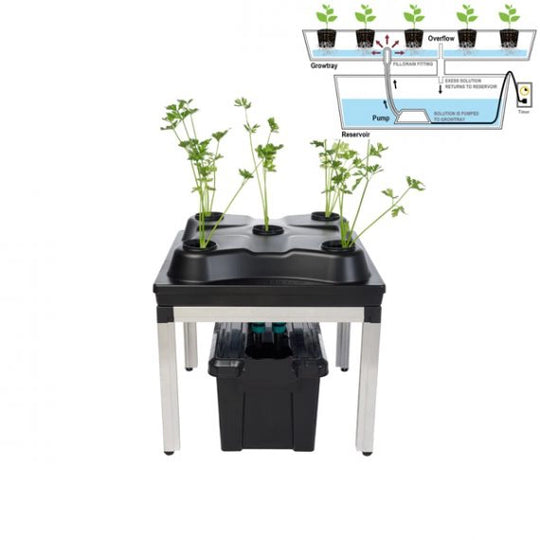 SWC System Growbox