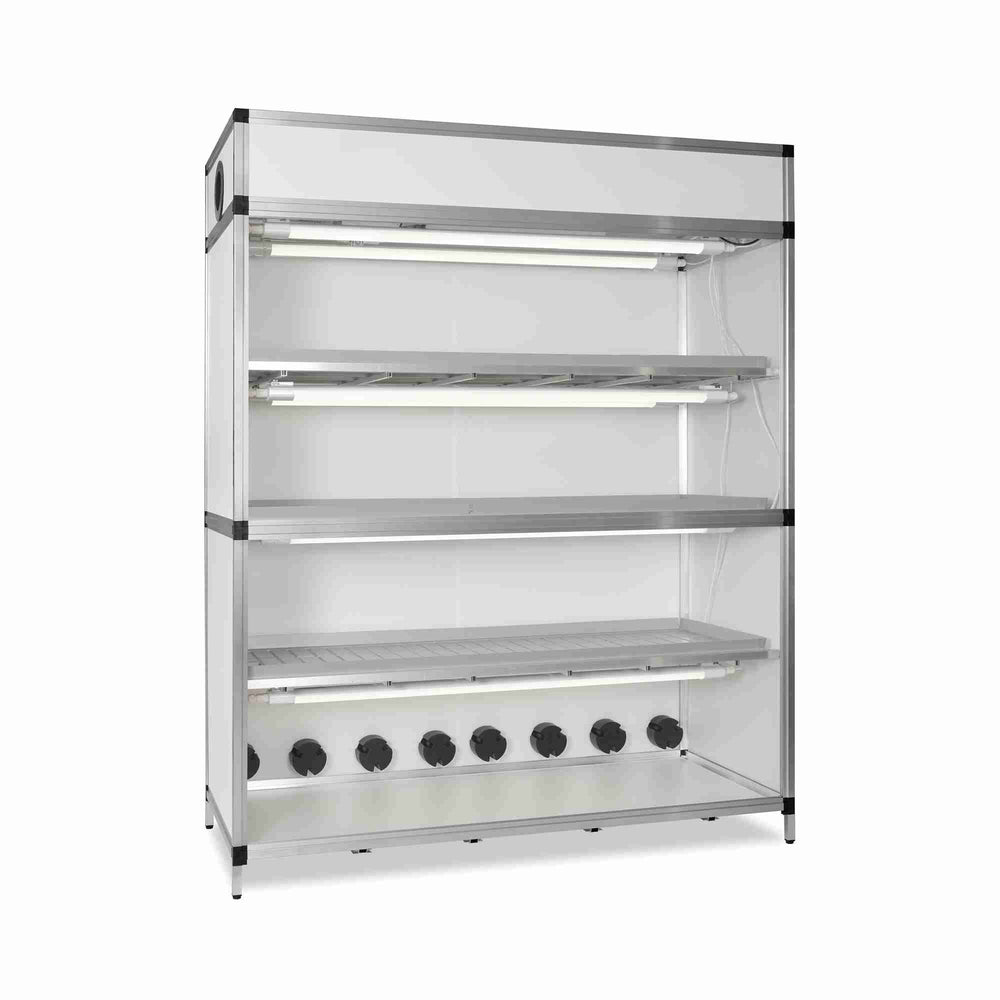 Growbox Without Irrigation Microgreens + Clones