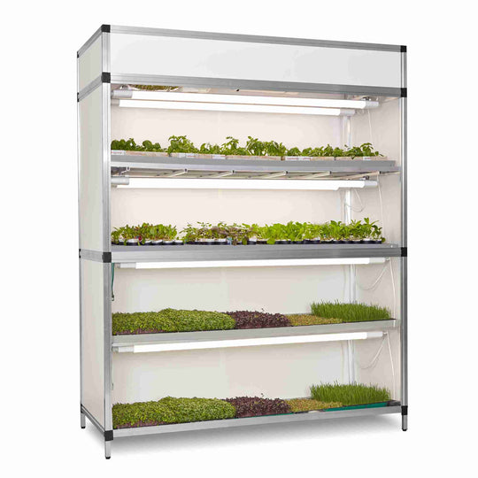 Growbox Without Irrigation Microgreens + Clones