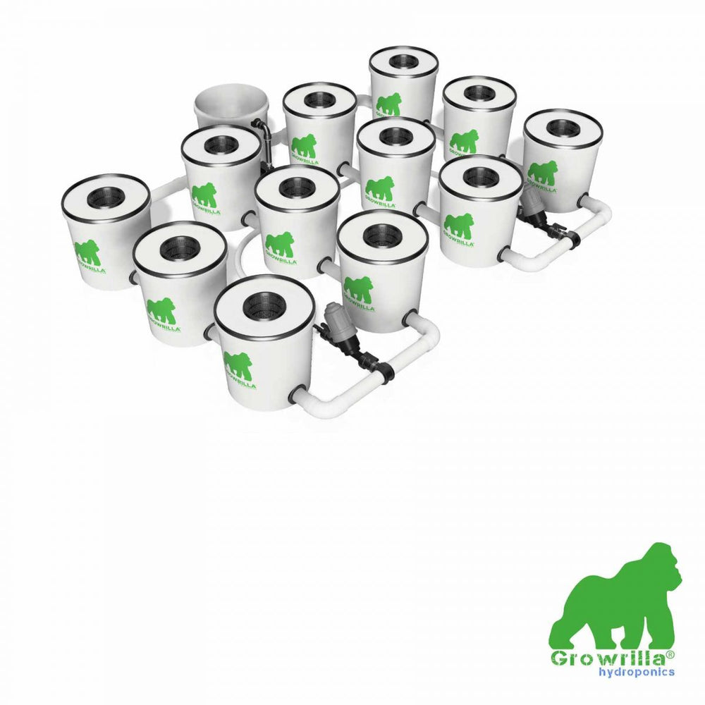 HYDROPONICS System RDWC PRO 12 POTS 4 ROWS