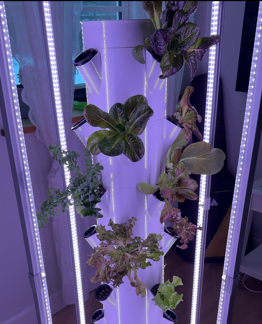 Homefarm Hydroponic Strawberry Tower 28 Pot 82W