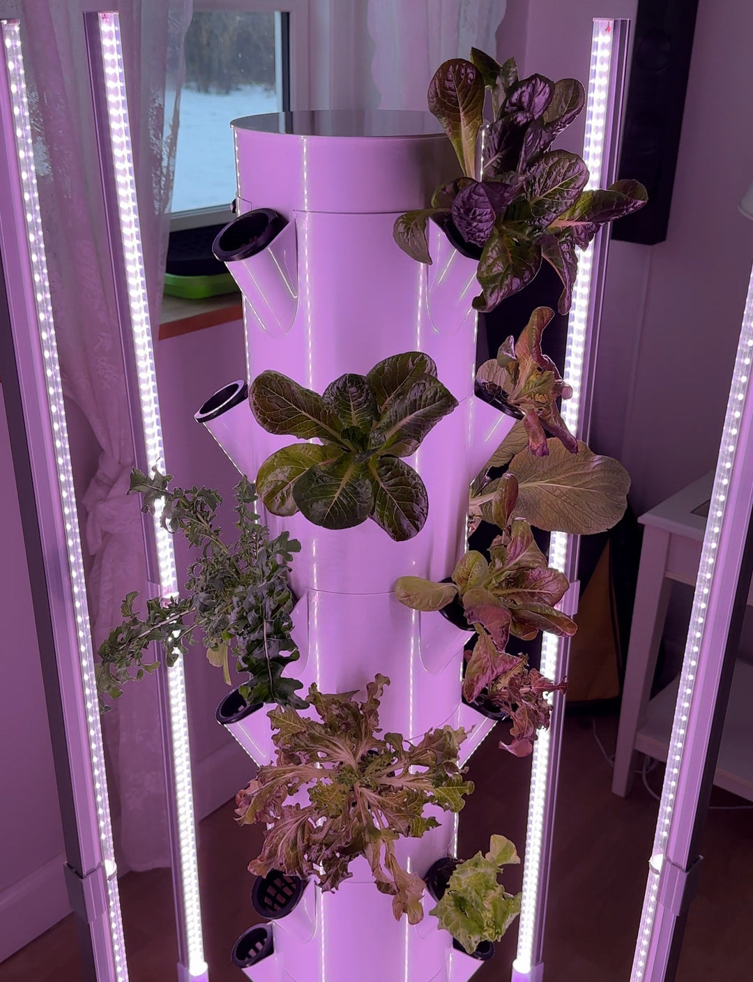 Homefarm Hydroponic Strawberry Tower 28 Pot 82W