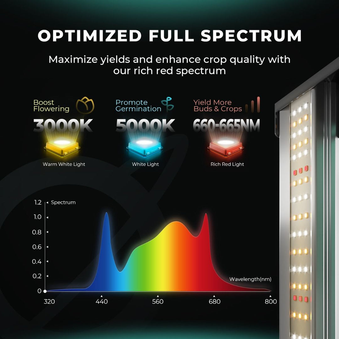 Mars Hydro FC1500 Complete Grow Tent Kit