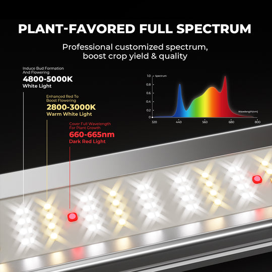 Mars Hydro Smart Dimmable FC-E3000 300W