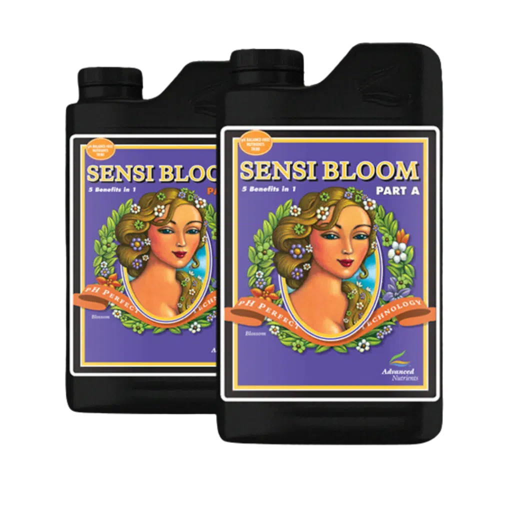 Sensi Bloom A&B