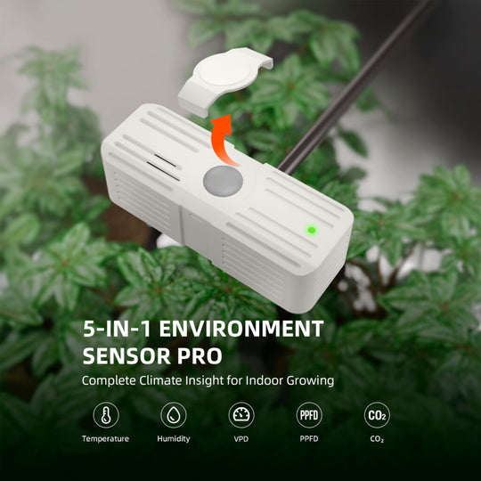 Spiderfarmer SensorPro 5in1