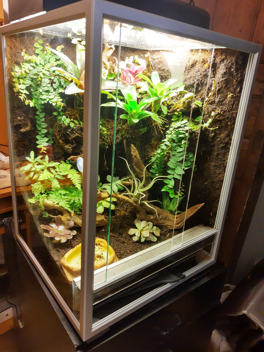 Culti LED growlight Herbs, Terrariums, Tropical plants + Probagation