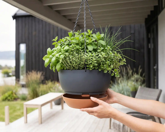 Self-watering hanging pot