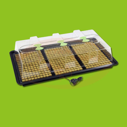 X-Stream Heated Propagator