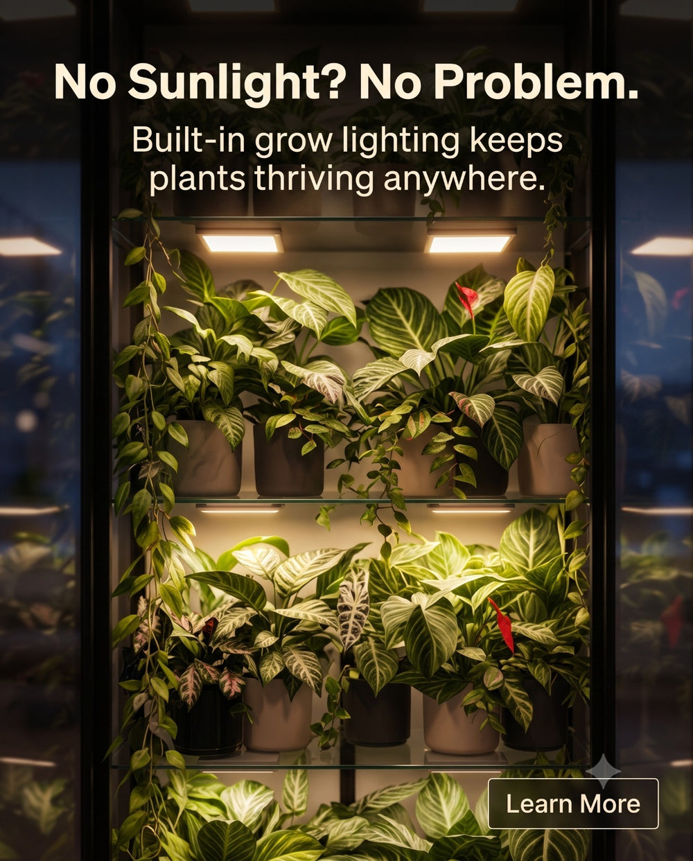 LED Growlight for Milsbo