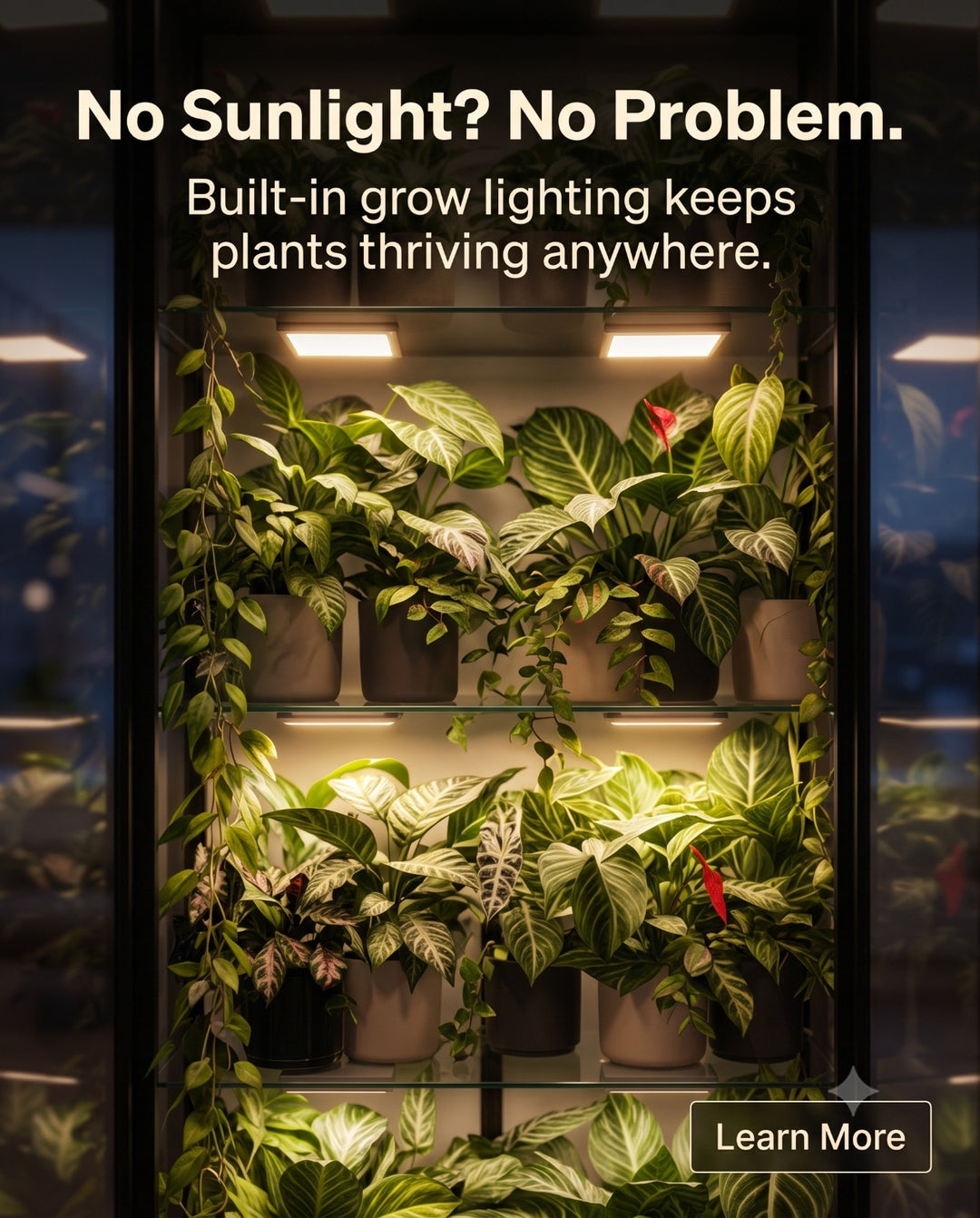 LED Growlight for Milsbo