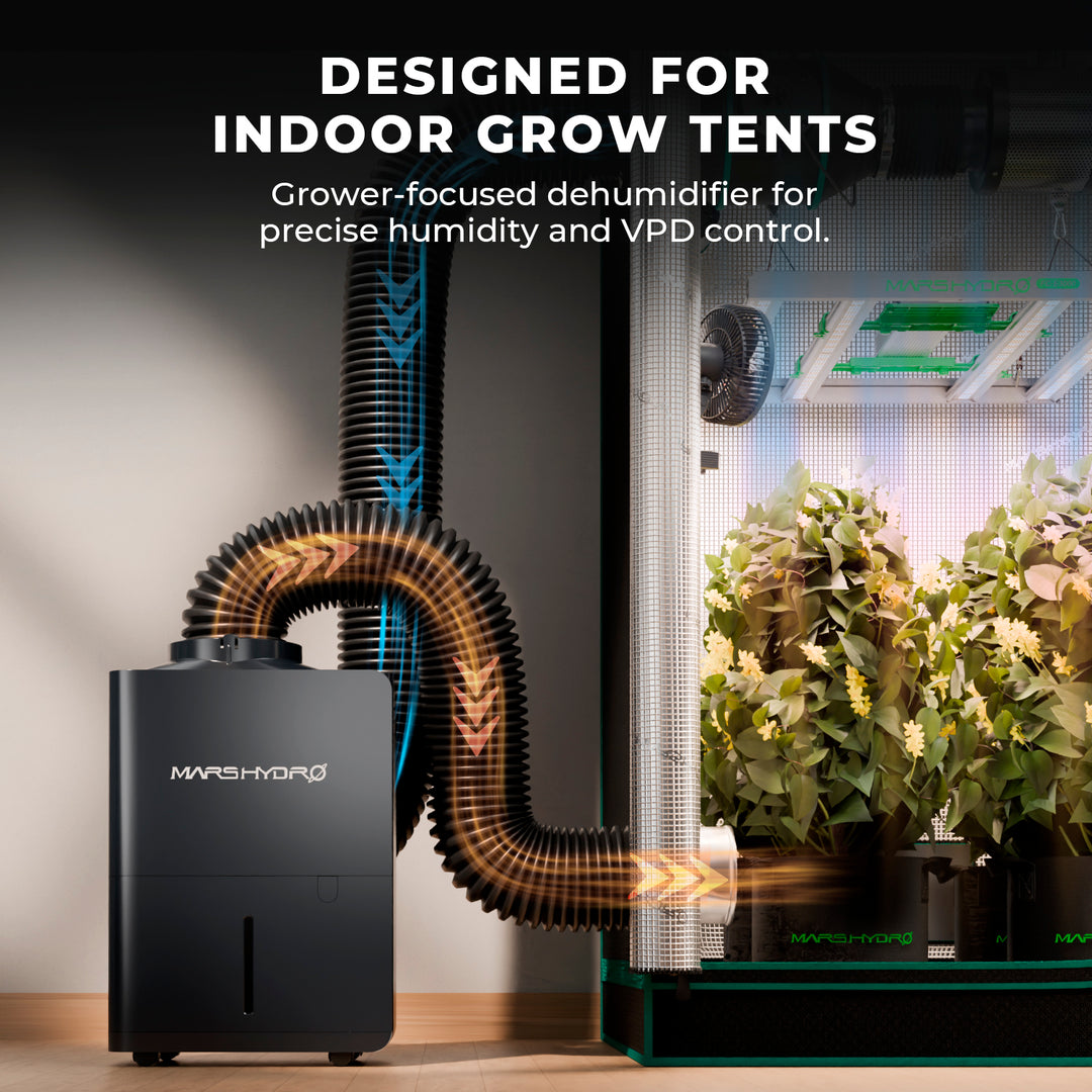 12L/Day Dehumidifier