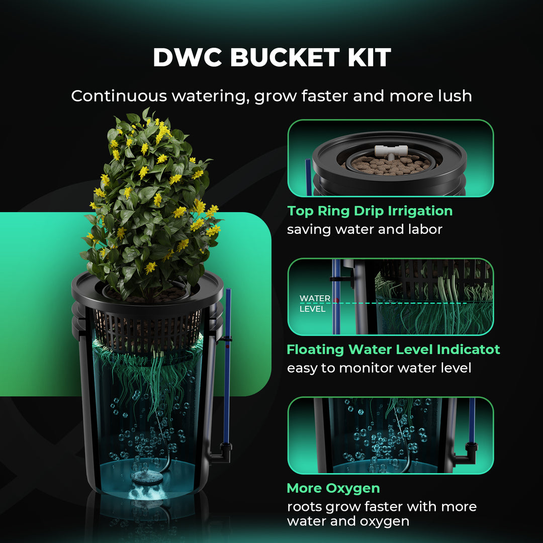 Premium 5-Gallon DWC Hydroponic System Kit with 2 Buckets
