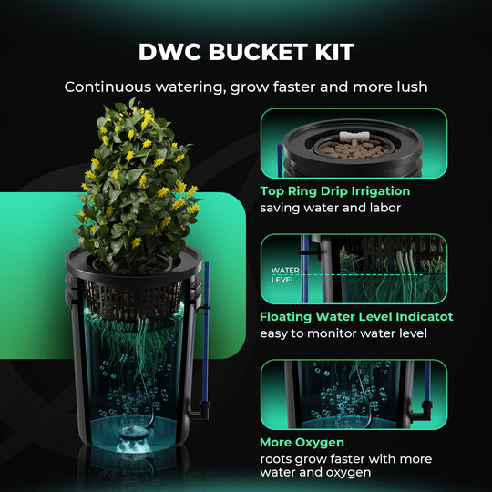 Premium 5-Gallon DWC Hydroponic System Kit with 2 Buckets