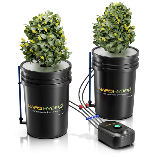 Premium 5-Gallon DWC Hydroponic System Kit with 2 Buckets