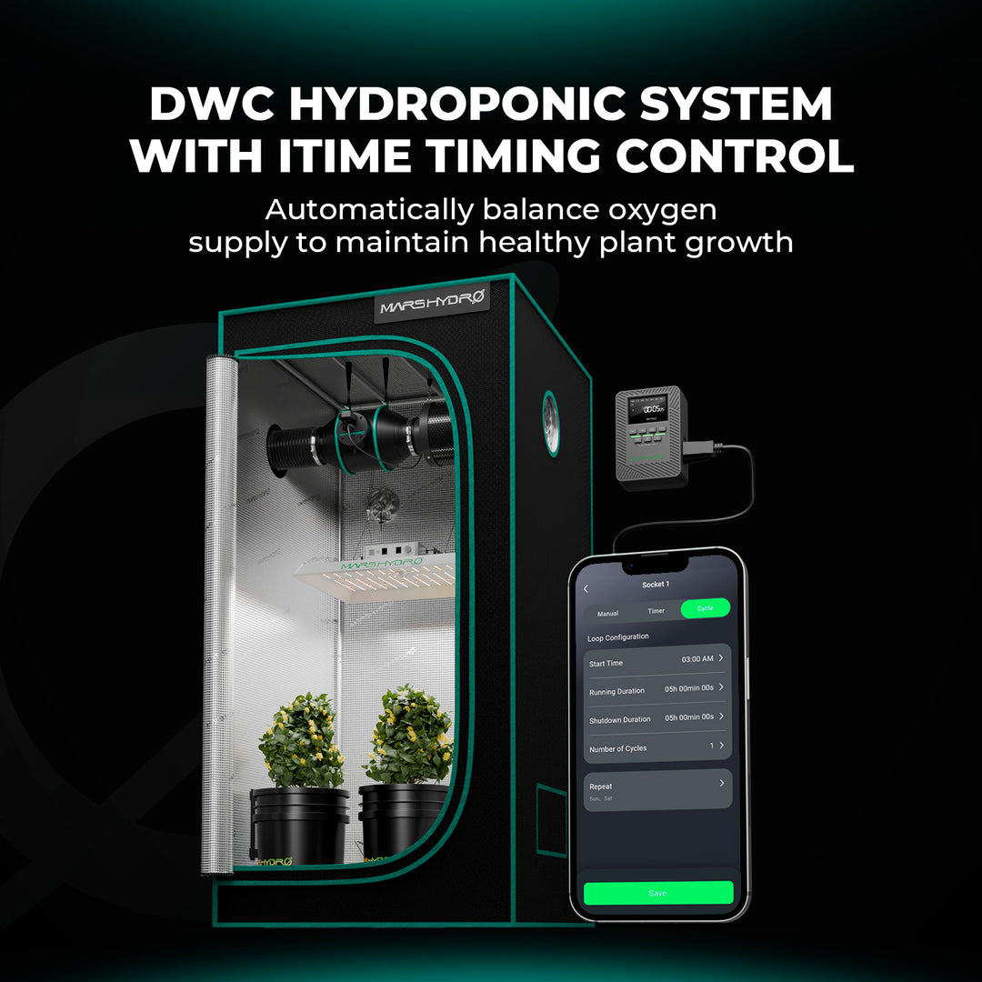 Premium 5-Gallon DWC Hydroponic System Kit with 2 Buckets