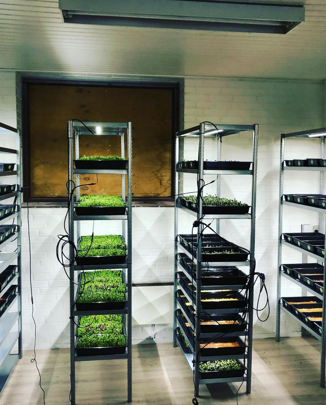Access Microgreens Beginner Community: Lifetime Access To All Monthly Calls