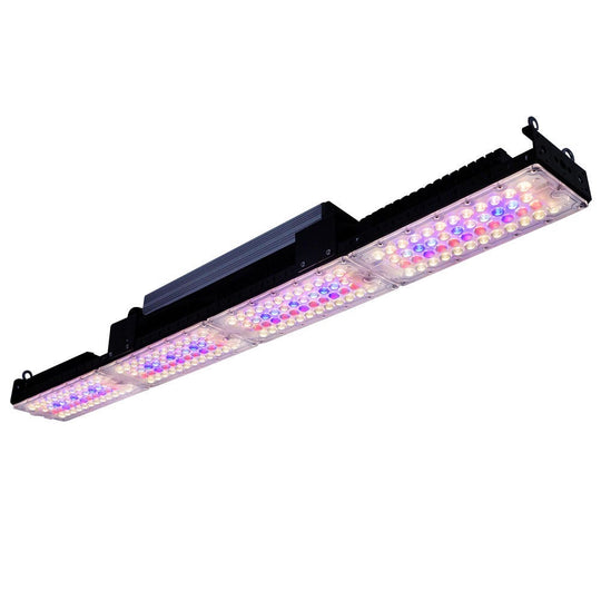 400W Greenhouse Top LED Grow Light