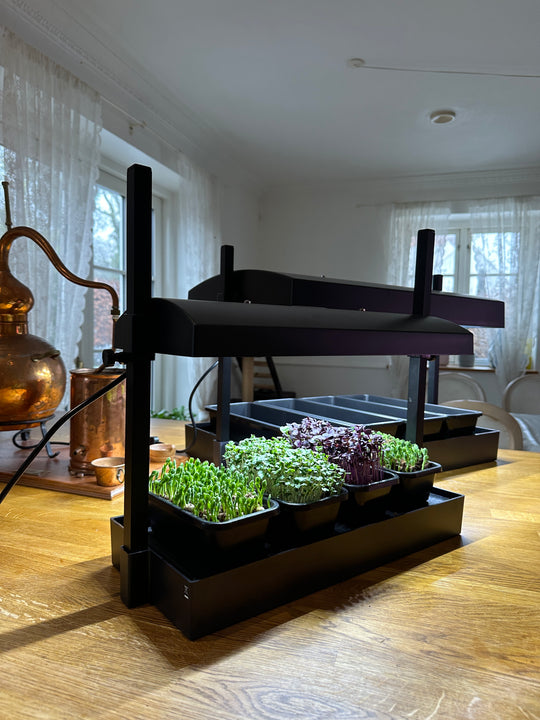 Mini Grow System Microgreens, salad + Herbs