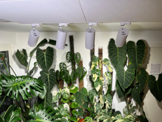 LED Growlight Track Light Kit
