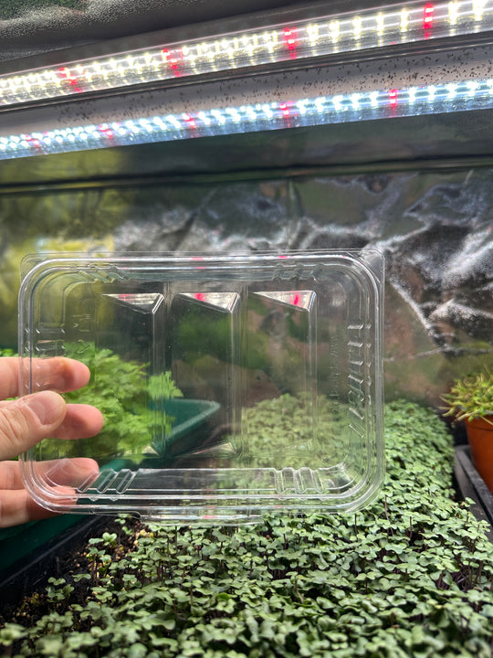 Microgreens Containers for 50 Gram Servings 180 pcs