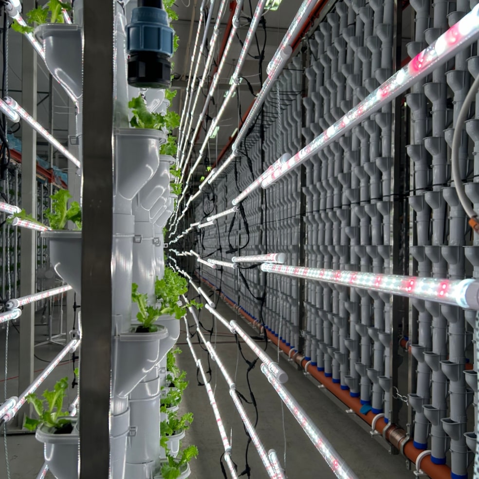 Grow Pipes With lock