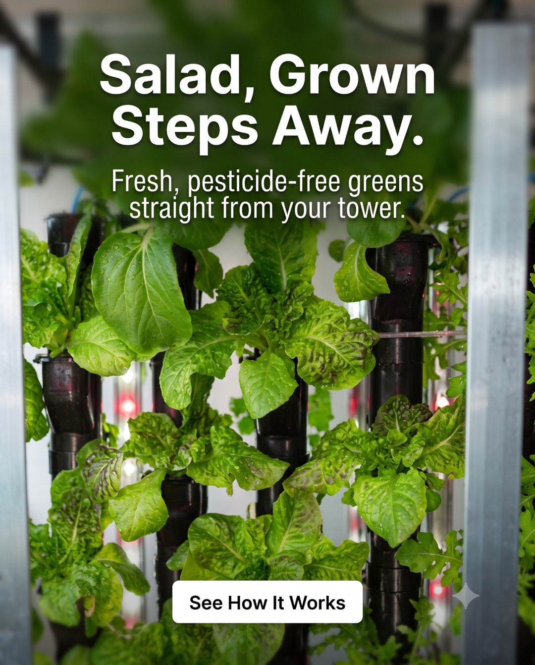 Hydroponic Grow System 64 Plant System