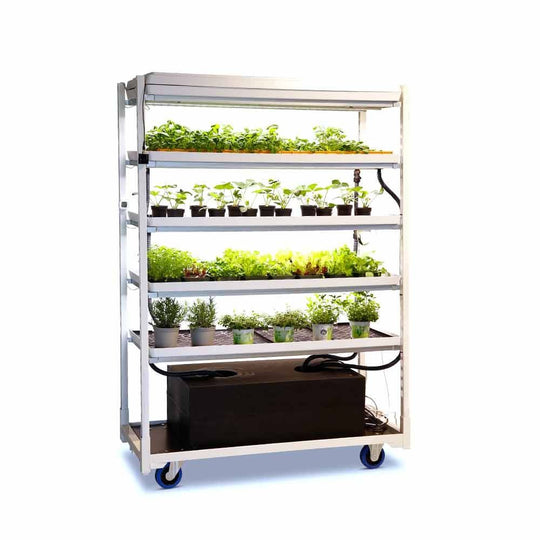 GROW SYSTEM Microgreens