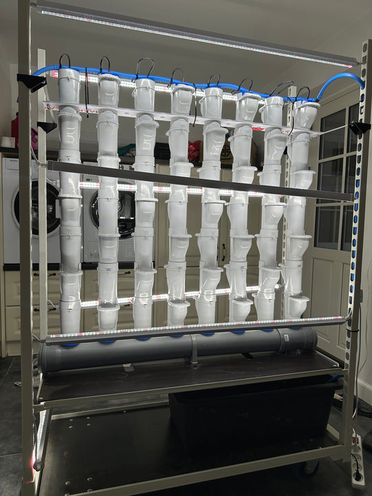 NFT HYDRO TROLLEY