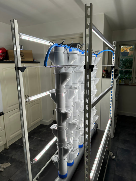 NFT HYDRO TROLLEY