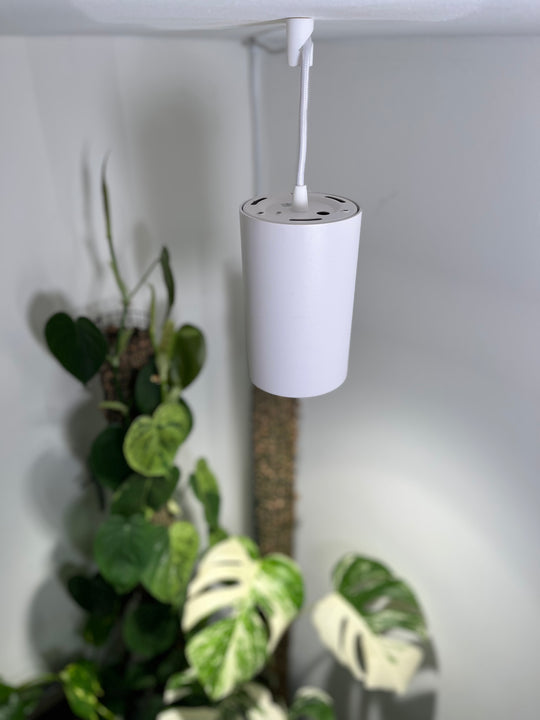 Plantevækstlys spot 30 watt