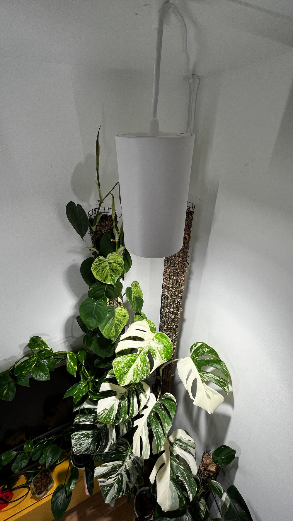Plantevækstlys spot 30 watt