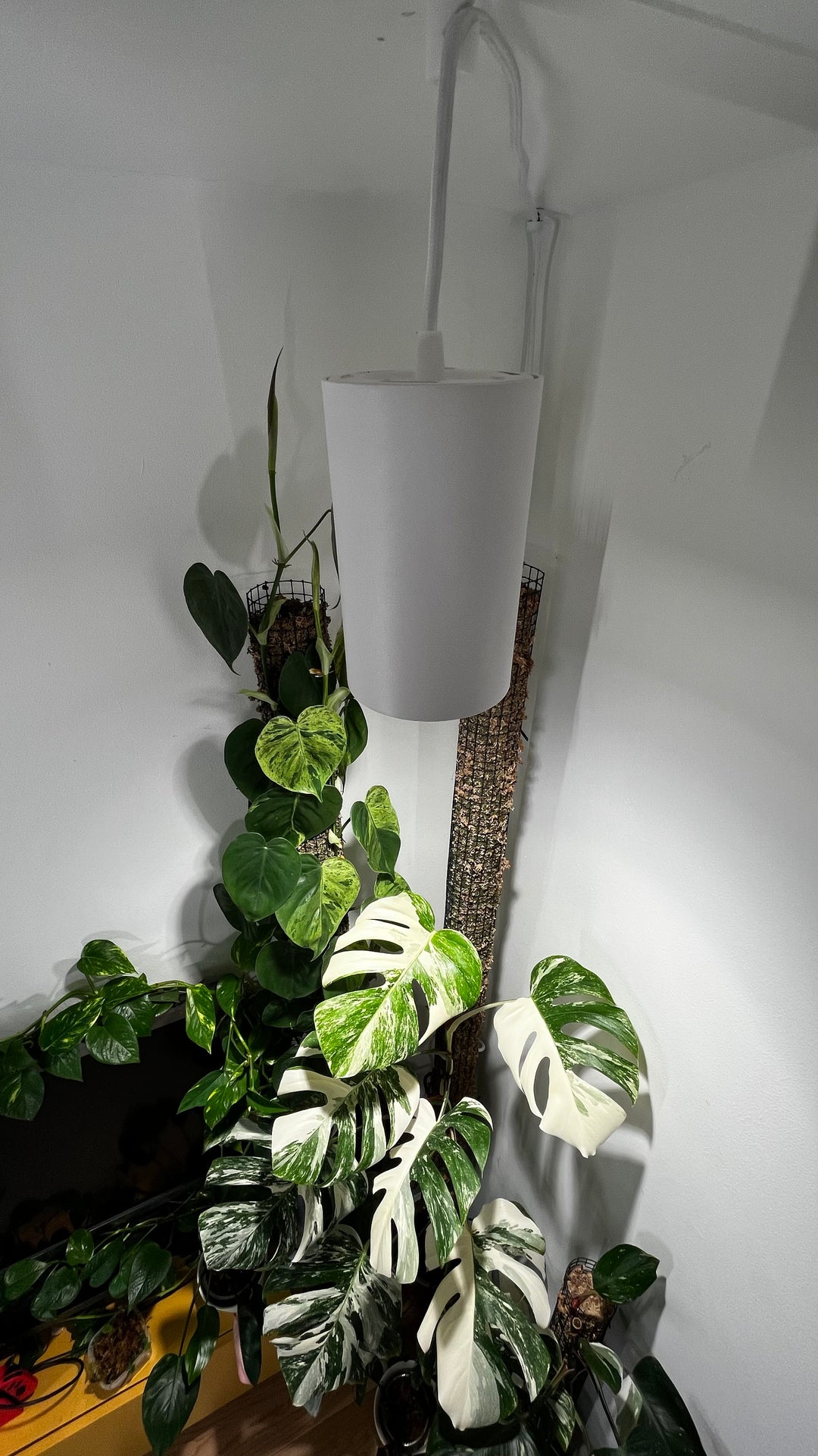 Plantevækstlys spot 30 watt