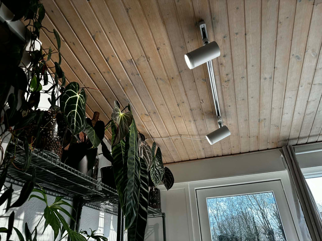 LED Growlight Track Light Kit