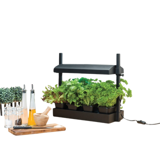 MICROGROW GARDEN