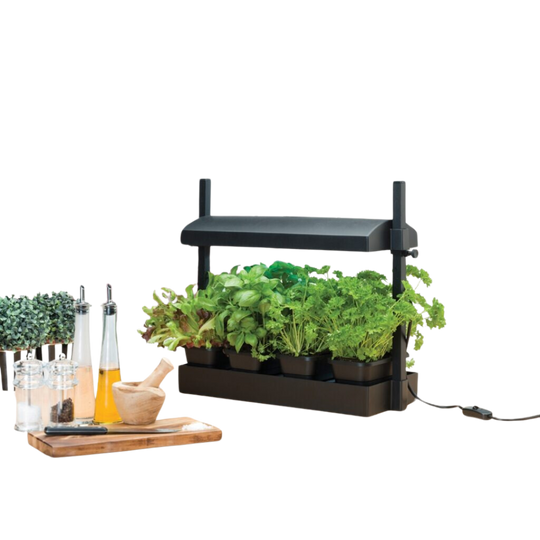 Mini Grow System Microgreens, salad + Herbs